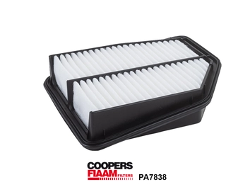 Air Filter (PA7838)