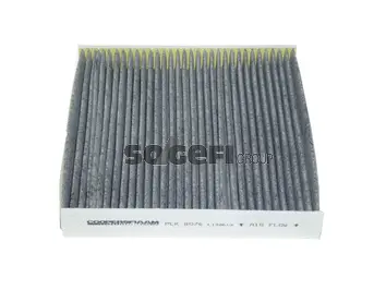 Filter, cabin air (PCK8076)
