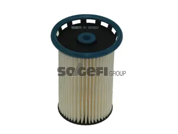 Fuel Filter (FA6066ECO)