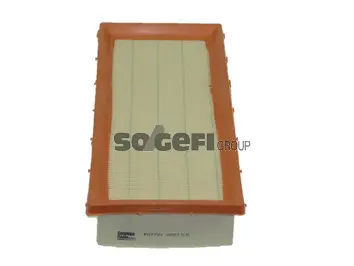Air Filter (PA7731)