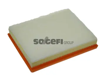 Air Filter (PA7428)