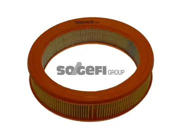 Air Filter (FL6535)