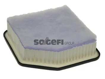 Air Filter (PA7593)