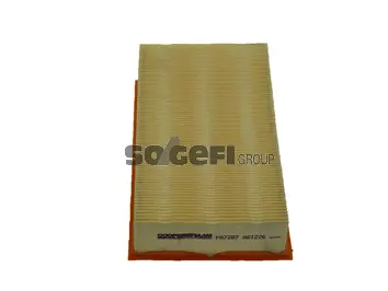Air Filter (PA7287)