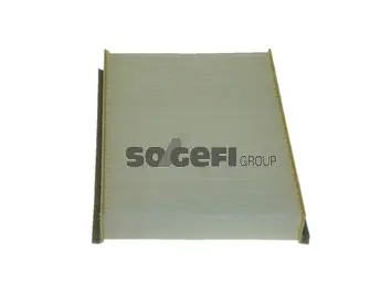Filter, cabin air (PC8365)