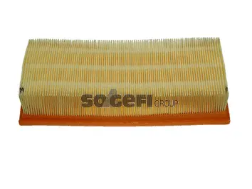 Air Filter (PA7111)
