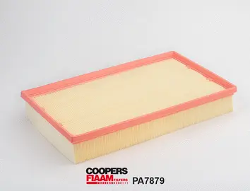 Air Filter (PA7879)