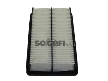 Air Filter (PA7420)
