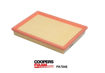 Air Filter (PA7946)