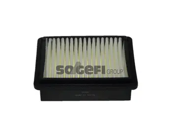 Air Filter (PA7447)