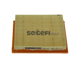 Air Filter (PA7167)