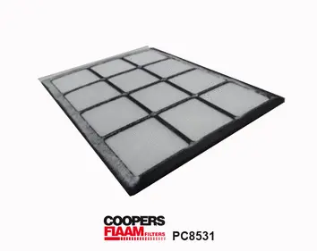Filter, cabin air (PC8531)