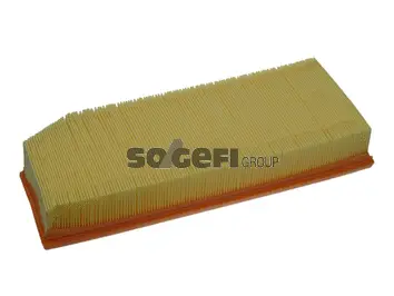 Air Filter (PA7339)