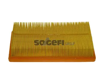 Air Filter (PA7356)