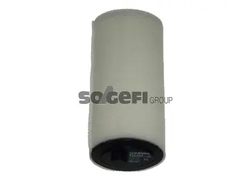 Air Filter (FL6994)