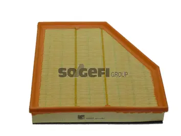 Air Filter (PA7649)