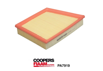 Air Filter (PA7919)