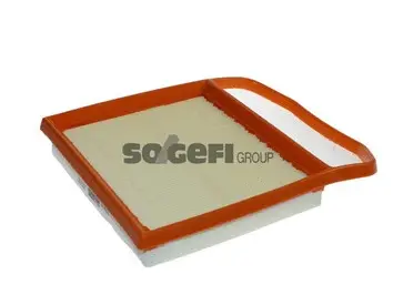 Air Filter (PA7819)