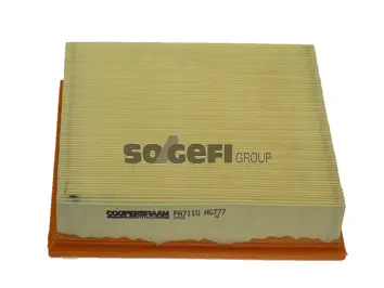 Air Filter (PA7110)