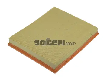 Air Filter (PA7289)