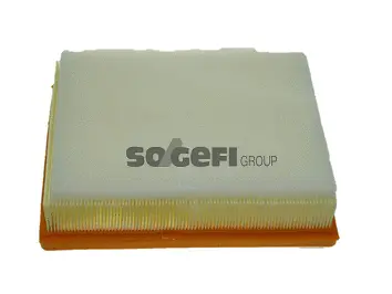 Air Filter (PA7487)