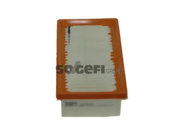 Air Filter (PA7562)