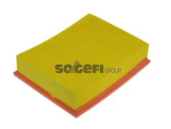 Air Filter (PA7198)