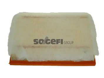 Air Filter (PA7557)