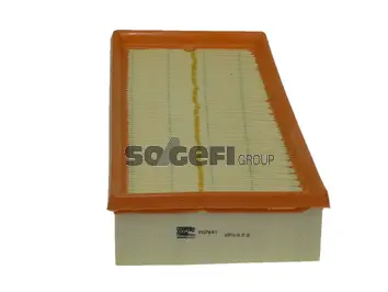 Air Filter (PA7641)