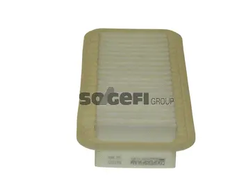 Air Filter (PA7315)