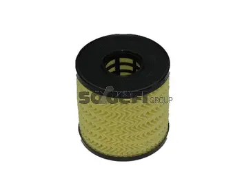 Oil Filter (FA5619ECO)