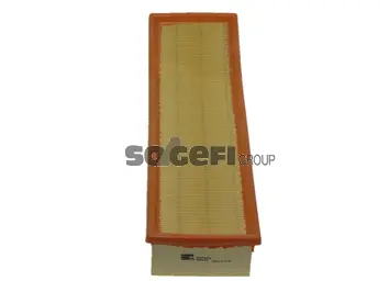 Air Filter (PA7029)