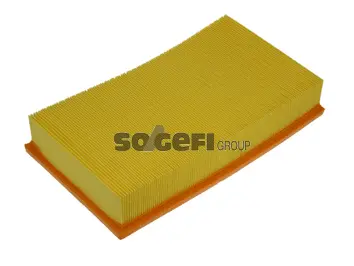 Air Filter (PA7196)