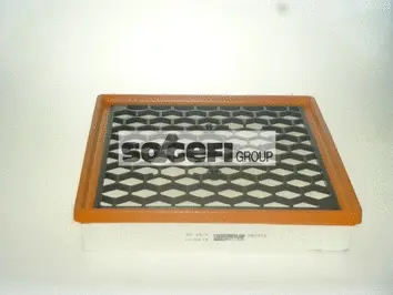 Air Filter (PA7310)