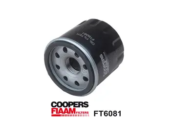 Oil Filter (FT6081)