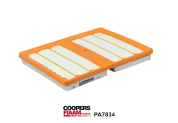 Air Filter (PA7834)