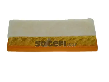 Air Filter (PA7484)