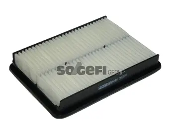 Air Filter (PA7699)