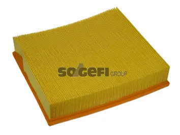 Air Filter (PA7229)