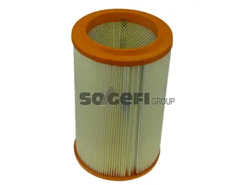 Air Filter (FL6891)