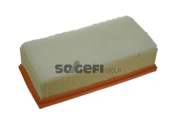 Air Filter (PA7525)