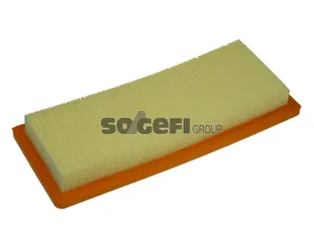 Air Filter (PA7081)
