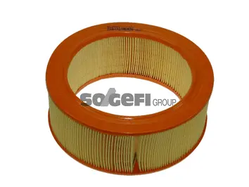 Air Filter (FL6771)