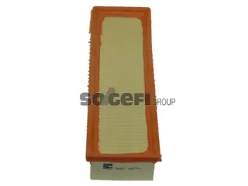 Air Filter (PA7671)