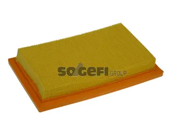 Air Filter (PA7125)