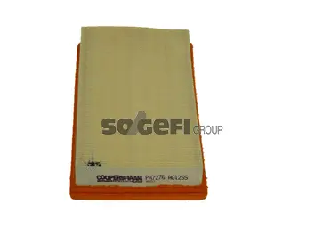 Air Filter (PA7276)