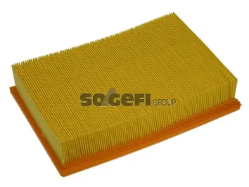 Air Filter (PA7135)