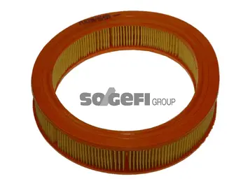 Air Filter (FL6338)