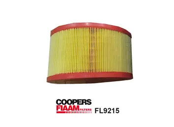 Air Filter (FL9215)
