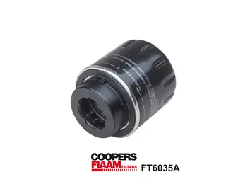 Oil Filter (FT6035A)